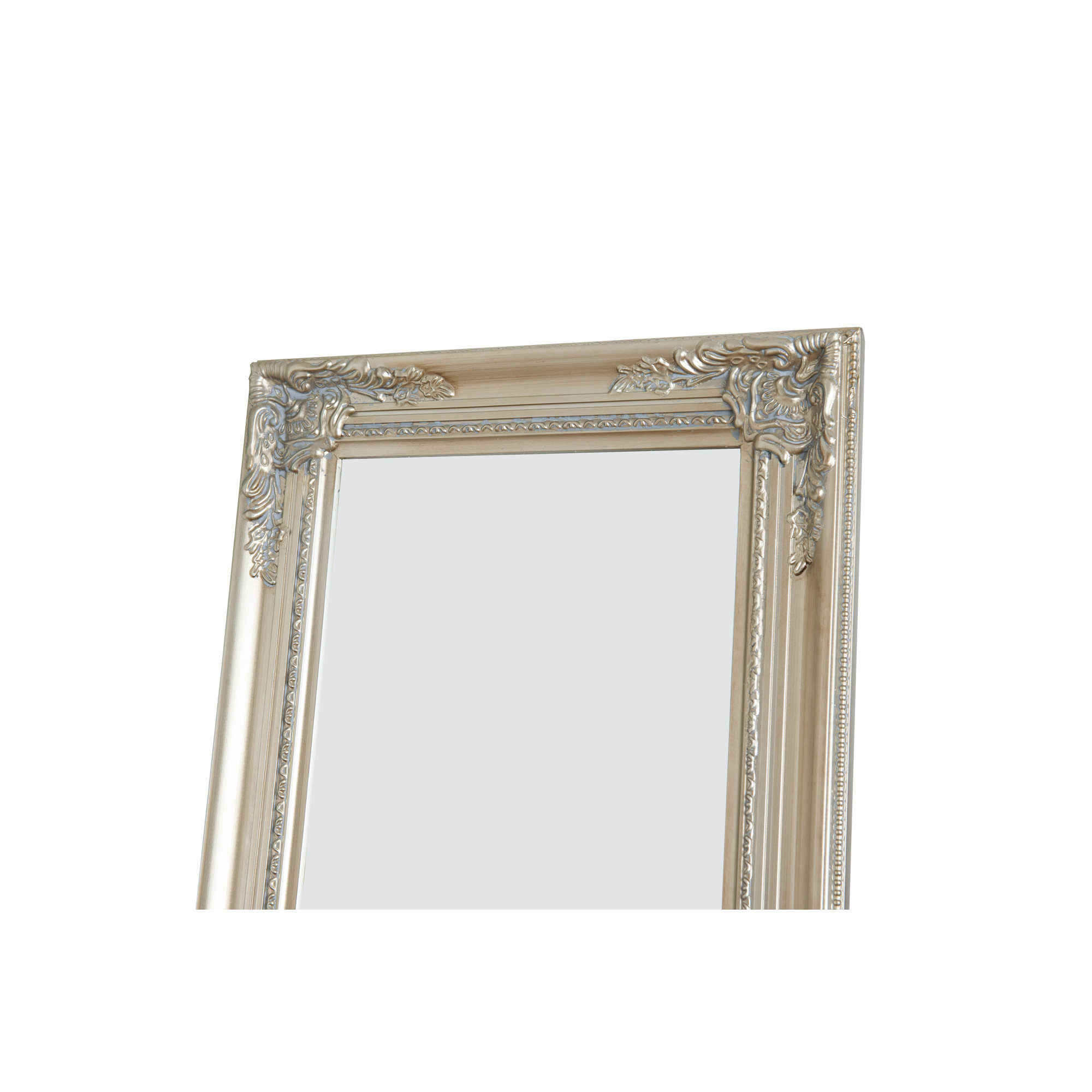 House of Hampton Wooden Standing Wall Mirror & Reviews Wayfair